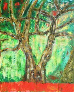 Chêne  du jardin 1, 2024, huile sur toile, 80 X 100 - (ré)interpréter la nature